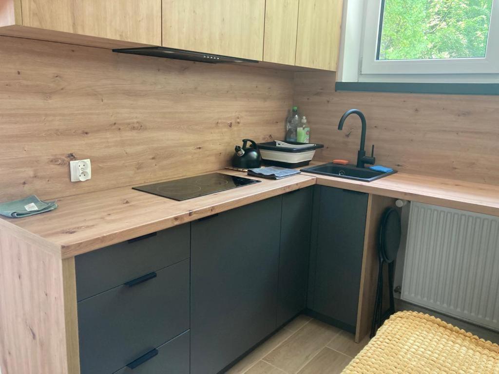 Appartamento Lemon Ustroń Esterno foto